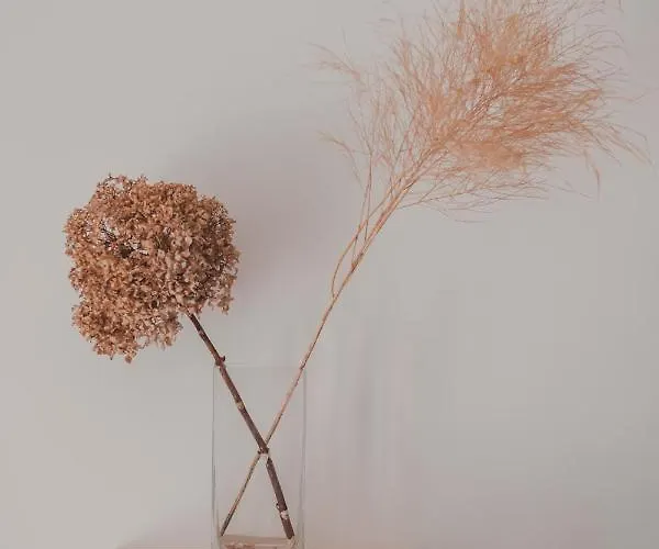 Daire Dreamers' House